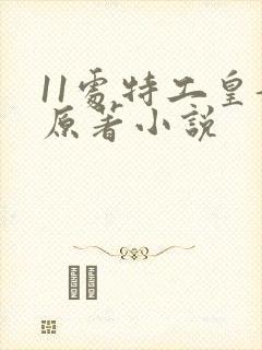 11处特工皇妃原著小说