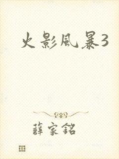 火影风暴3