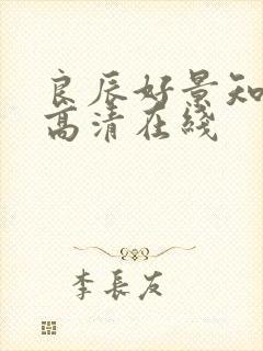 良辰好景知几何高清在线