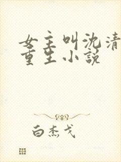 女主叫沈清宁的重生小说