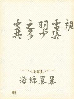 云之羽电视剧一共多少集