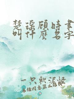 楚瑶顾时聿小说叫什么名字