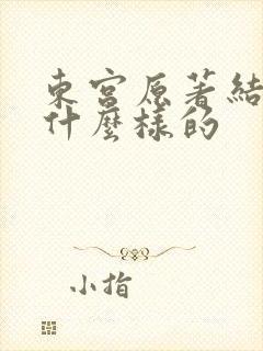 东宫原著结局是什么样的