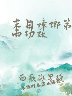 末日蟑螂第三场雨功效