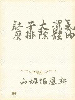 肚子大湿气重怎么排除体内湿气