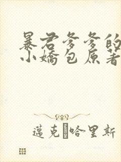 暴君爹爹的团宠小娇包原著小说