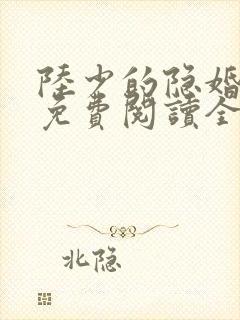 陆少的隐婚罪妻免费阅读全文