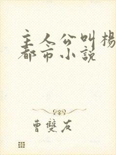 主人公叫杨帆的都市小说