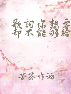 歌词你想要的我却不能够给你我全部