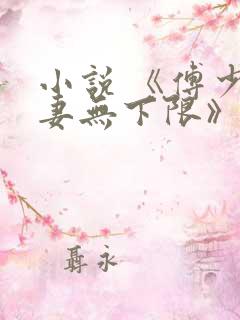 小说 《傅少宠妻无下限》