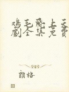 鸡毛飞上天电视剧全集免费播放高清