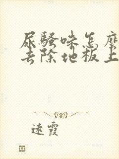 尿骚味怎么快速去除地板上的