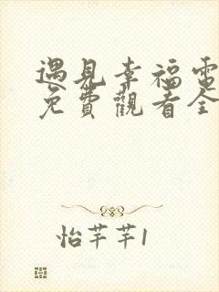 遇见幸福电视剧免费观看全集高清