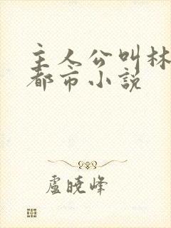 主人公叫林北的都市小说