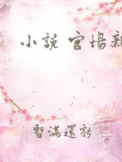 小说 官场新贵