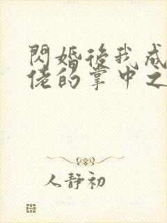 闪婚后我成了大佬的掌中之物27