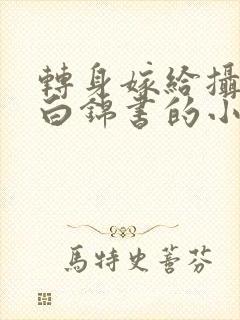 转身嫁给摄政王白锦书的小说