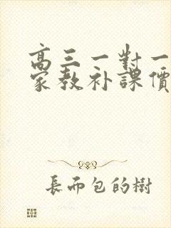 高三一对一数学家教补课价格