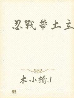忍战带土立绘
