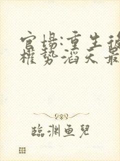官场:重生后我权势滔天最新章节在线阅读