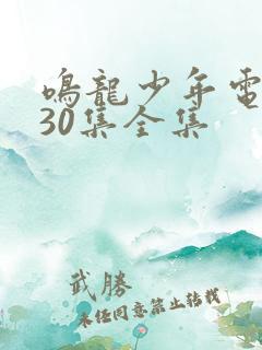 鸣龙少年电视剧30集全集