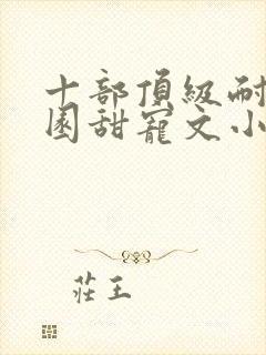 十部顶级耐看校园甜宠文小说