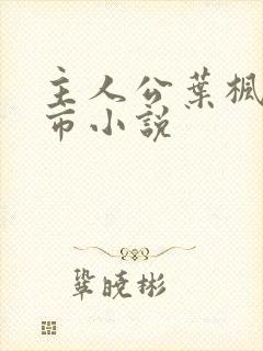 主人公叶枫的都市小说