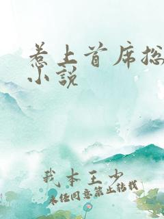 惹上首席总裁2小说