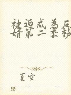 被迫成为反派赘婿第二季动漫免费观看