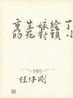 重生嫁给了前夫的死对头 小说