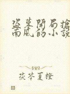 盗墓开局抢了尹南风的小说