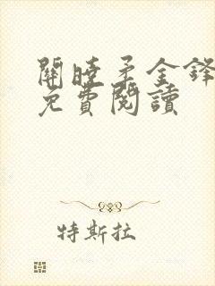 关晓柔金锋小说免费阅读