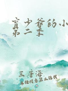 盲少爷的小女仆第二季