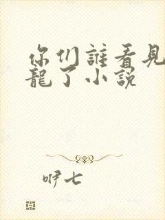 你们谁看见我的龙了小说