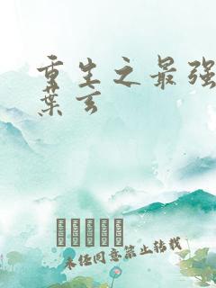 重生之最强仙尊叶玄