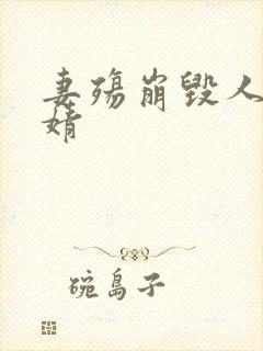 妻殇崩毁人生解婧