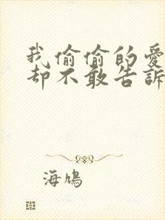 我偷偷的爱着你却不敢告诉你歌词