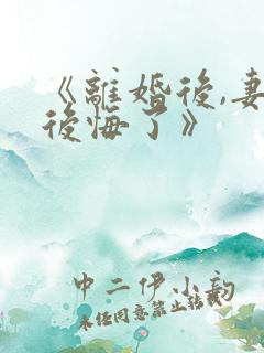 《离婚后,妻子后悔了》