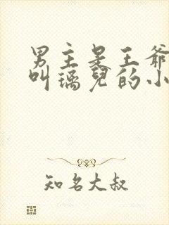 男主是王爷女主叫璃儿的小说