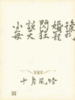 小说闪婚后大叔每天狂宠我免费阅读