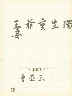 王爷重生独宠男妻