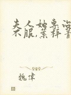 夫人她专治各种不服,叶梓菁