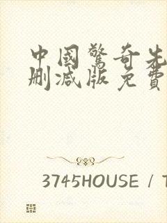 中国惊奇先生未删减版免费观看