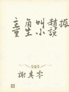 主角叫赵振国的重生小说