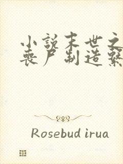 小说末世之我有丧尸制造系统