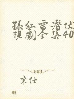 孙红雷潜伏者电视剧全集40集,免费观看