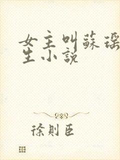 女主叫苏瑶的重生小说