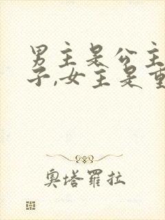 男主是公主的儿子,女主是重生的