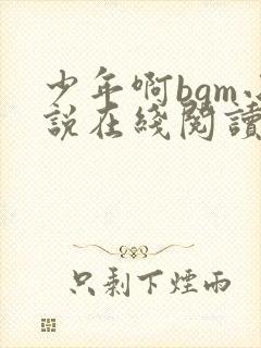 少年啊bgm小说在线阅读免费全文