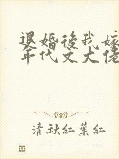 退婚后我嫁给了年代文大佬